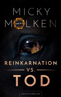 Reinkarnation vs. Tod - Micky Molken - E-Book