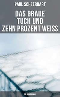 Das graue Tuch und zehn Prozent Weiß: Ein Damenroman - Paul Scheerbart - E-Book
