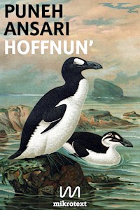 Hoffnun' - Puneh Ansari - E-Book