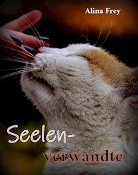 Seelenverwandte - Alina Frey - E-Book