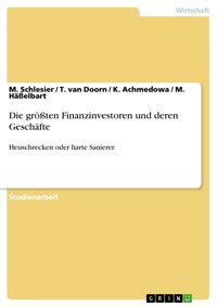 Die größten Finanzinvestoren und deren Geschäfte - M. Schlesier - E-Book