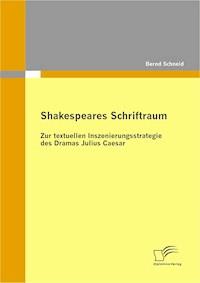 Shakespeares Schriftraum - Bernd Schneid - E-Book