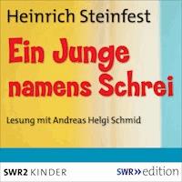Ein Junge namens Schrei - Heinrich Steinfest - Hörbuch