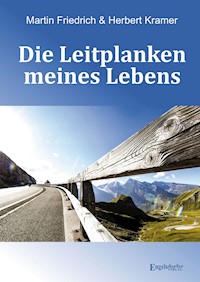 Die Leitplanken meines Lebens - Martin Friedrich - E-Book