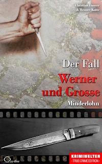 Der Fall Werner und Grosse - Christian Lunzer - E-Book