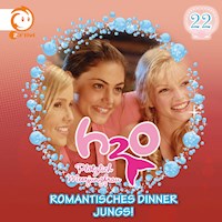 22: Romantisches Dinner / Jungs! - Thomas Karallus - Hörbuch