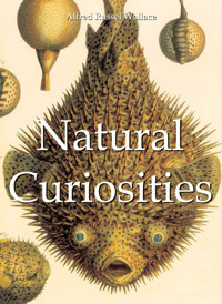 Natural Curiosities - Alfred Russel Wallace - E-Book