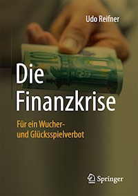 Die Finanzkrise - Udo Reifner - E-Book
