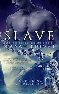 Slave - Rowan Knight - E-Book
