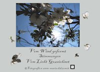 Vom Wind geformt, Stimmungen vom Licht gezeichnet - Anne-Maria Didzoneit - E-Book