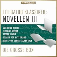 Literatur Klassiker: Novellen III - Theodor Storm - Hörbuch