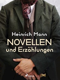Novellen und Erzählungen - Heinrich Mann - E-Book