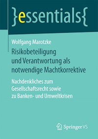 Risikobeteiligung und Verantwortung als notwendige Machtkorrektive - Wolfgang Marotzke - E-Book