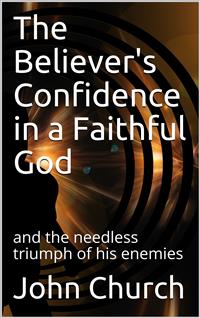 The Believer's Confidence in a Faithful God / and the needless triumph of his enemies - John Church - E-Book