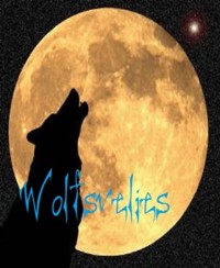 Das Wolfsverlies - Fan Von Fantasy - E-Book