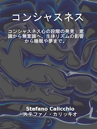 コンシャスネス - Stefano Calicchio - E-Book