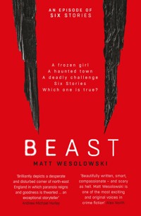 Beast - Matt Wesolowski - E-Book