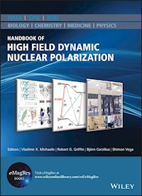 Handbook of High Field Dynamic Nuclear Polarization - - E-Book