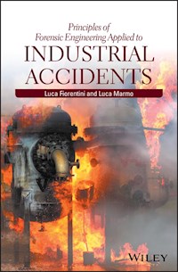 Principles of Forensic Engineering Applied to Industrial Accidents - Luca Fiorentini - E-Book
