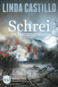Schrei im Morgengrauen - Linda Castillo - E-Book