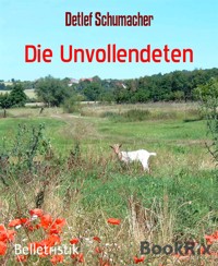 Die Unvollendeten - Detlef Schumacher - kostenlos E-Book