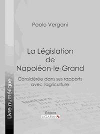 La Législation de Napoléon-le-Grand - Paolo Vergani - E-Book