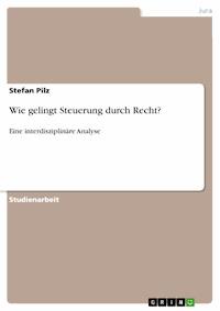 Wie gelingt Steuerung durch Recht? - Stefan Pilz - E-Book