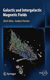 Galactic and Intergalactic Magnetic Fields - Ulrich Klein - E-Book