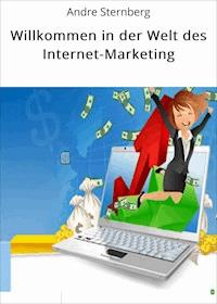 Willkommen in der Welt des Internet-Marketing - Andre Sternberg - E-Book