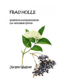 Frau Holle - Jürgen Wagner - E-Book