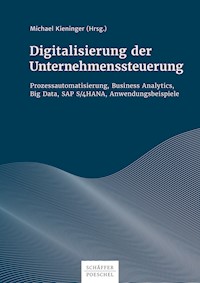 Digitalisierung der Unternehmenssteuerung - Michael Kieninger - E-Book