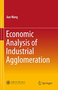 Economic Analysis of Industrial Agglomeration - Jian Wang - E-Book
