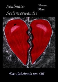 Soulmate- Seelenverwandte - Vanessa Mayer - E-Book