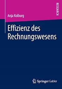 Effizienz des Rechnungswesens - Anja Kolburg - E-Book
