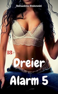 Dreier Alarm 5 - Bernadette Binkowski - E-Book