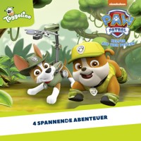 Folgen 103-106: Paket in Gefahr -  - Hörbuch