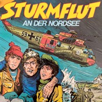 Sturmflut an der Nordsee - Claus Peter Lemmer - Hörbuch
