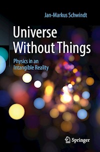 Universe Without Things - Jan-Markus Schwindt - E-Book