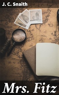 Mrs. Fitz - J. C. Snaith - E-Book