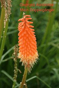 Mein Doppelgänger - Georges Alexandre - E-Book