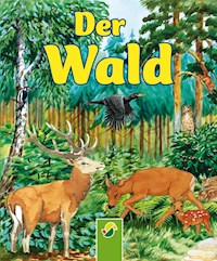 Der Wald - Bärbel Oftring - E-Book