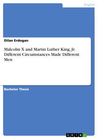 Malcolm X and Martin Luther King, Jr. Different Circumstances Made Different Men - Dilan Erdogan - E-Book
