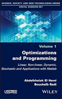Optimizations and Programming - Abdelkhalak El Hami - E-Book