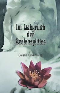 Im Labyrinth der Seelensplitter - Carlaria Silverlining - E-Book