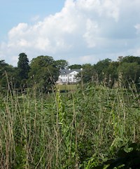 Vinz - Ingo T. Herzig - E-Book