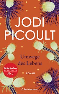 Umwege des Lebens - Jodi Picoult - E-Book