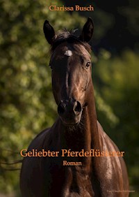 Geliebter Pferdeflüsterer - Clarissa Busch - E-Book