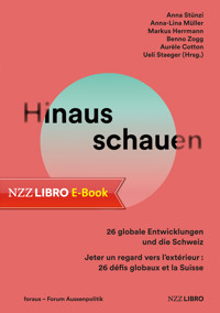 Hinausschauen -  - E-Book