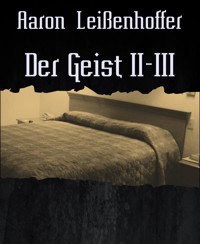Der Geist II-III - Aaron Leißenhoffer - E-Book
