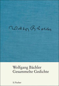 Gesammelte Gedichte - Wolfgang Bächler - E-Book